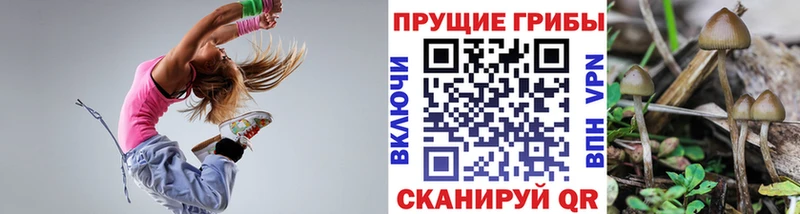 продажа наркотиков  Сергач  Псилоцибиновые грибы мухоморы 