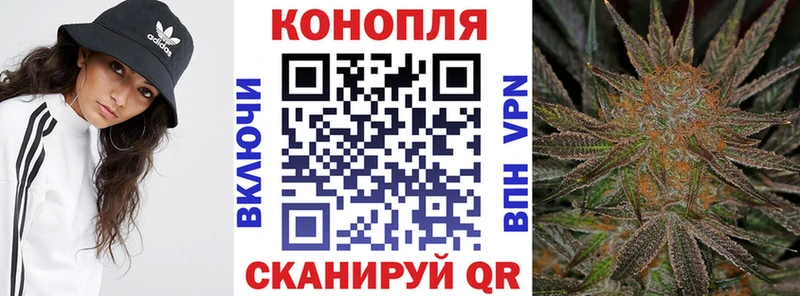 где можно купить наркотик  Сергач  Канабис конопля 
